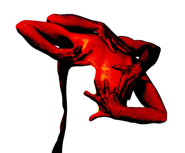 Rhizom: In Utero
